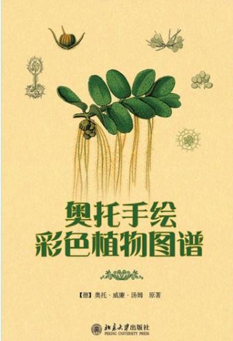 奥托手绘彩色植物图谱-落羽网