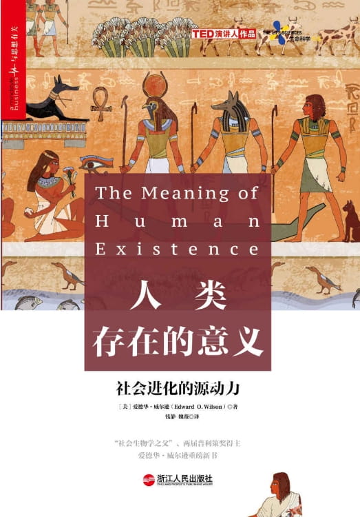 人类存在的意义-落羽网