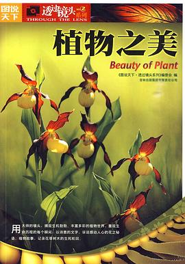 图片[6]-图说天下·透过镜头系列（全6册）-落羽网