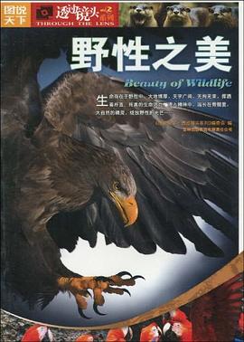 图片[5]-图说天下·透过镜头系列（全6册）-落羽网