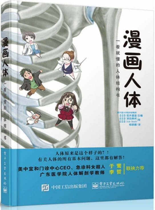 漫画人体-落羽网