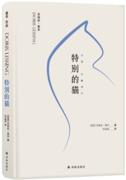 特别的猫-落羽网