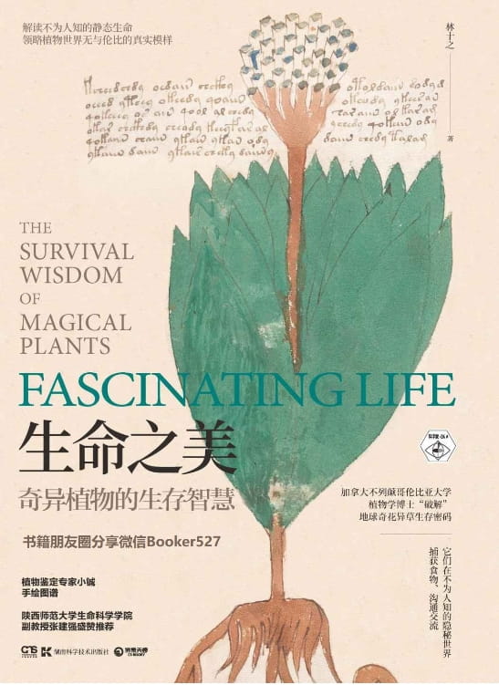 生命之美：奇异植物的生存智慧-落羽网