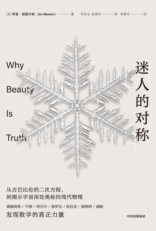 迷人的对称-落羽网