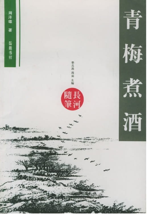 青梅煮酒-落羽网