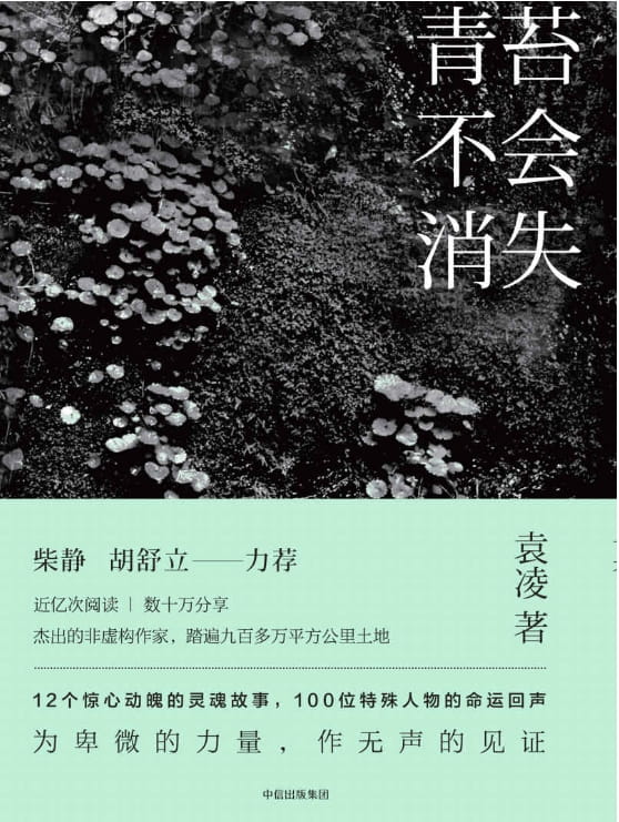青苔不会消失-落羽网