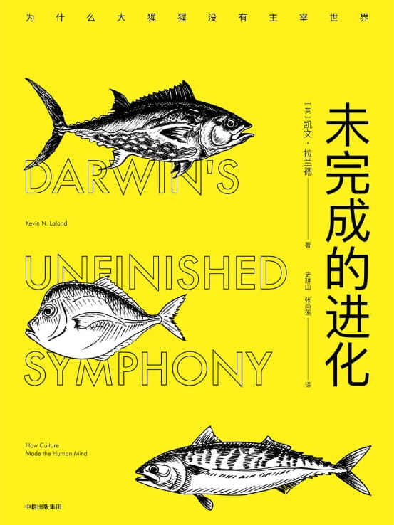 未完成的进化-落羽网