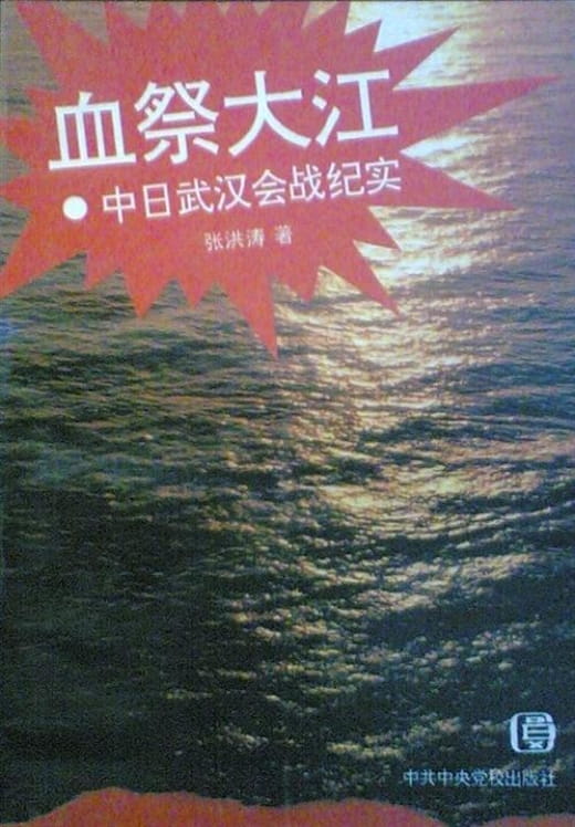 血祭大江：中日武汉会战纪实-落羽网