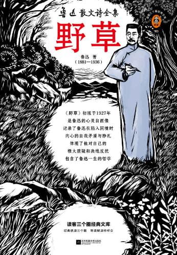野草-落羽网