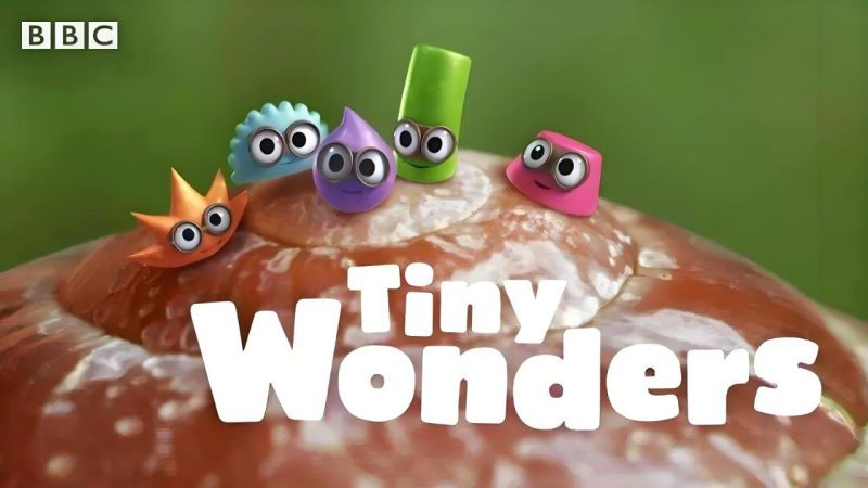 BBC少儿科普动画《小奇迹 Tiny Wonders》-落羽网