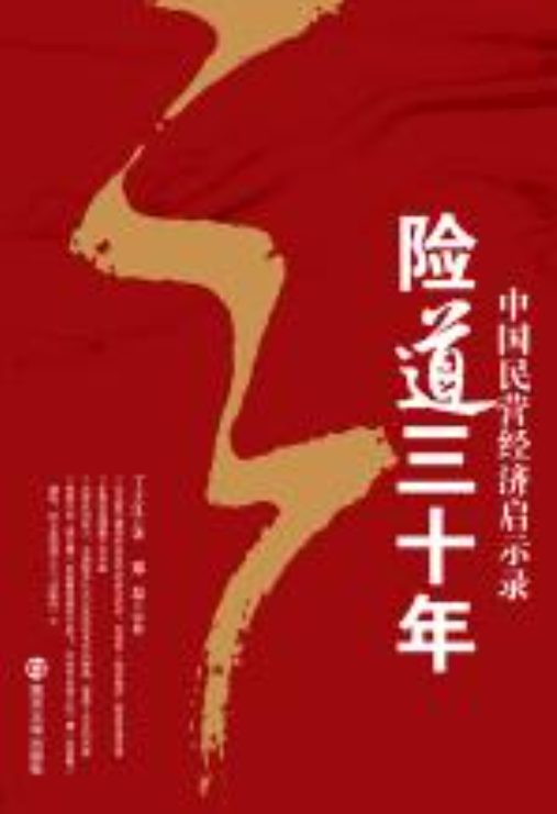 险道三十年：中国民营经济启示录-落羽网