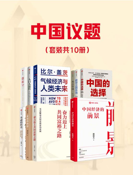 中国议题（套装共10册）-落羽网