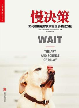 慢决策：如何在极速时代掌握慢思考的力量-落羽网