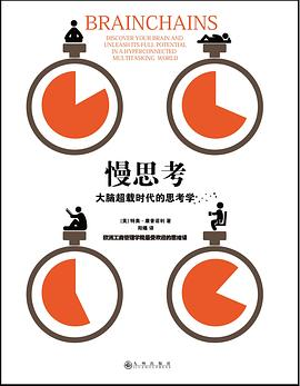 慢思考：大脑超载时代的思考学-落羽网