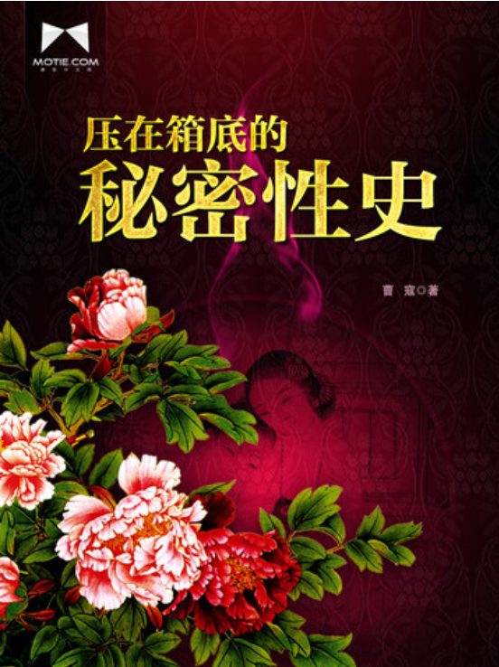藏在箱底的秘密性史-落羽网