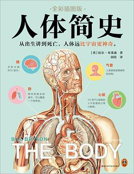 人体简史-落羽网