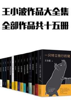 王小波作品大全集（15册）-落羽网