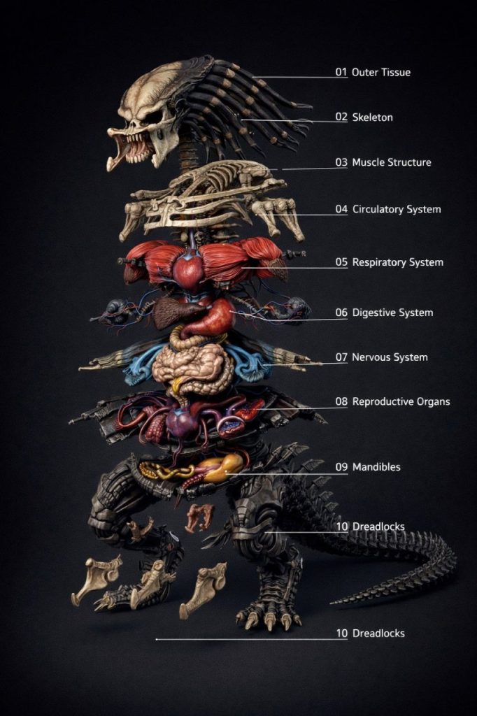 图片[7]-一个提示词就能“解剖”任何生物的身体构造-落羽网