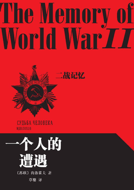 一个人的遭遇-落羽网