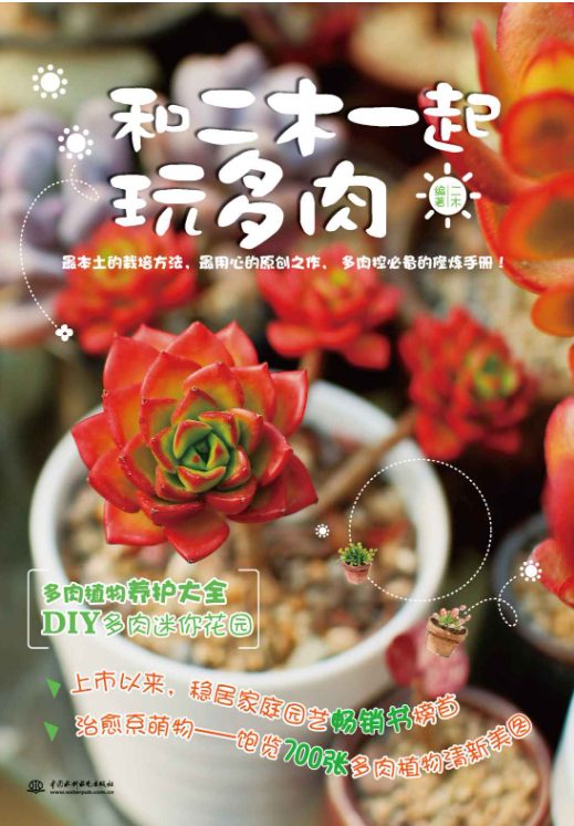 和二木一起玩多肉-落羽网