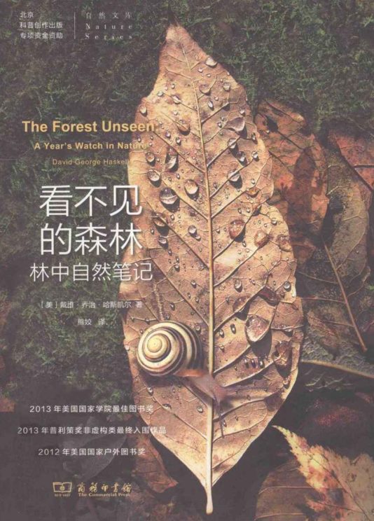 看不见的森林：林中自然笔记-落羽网