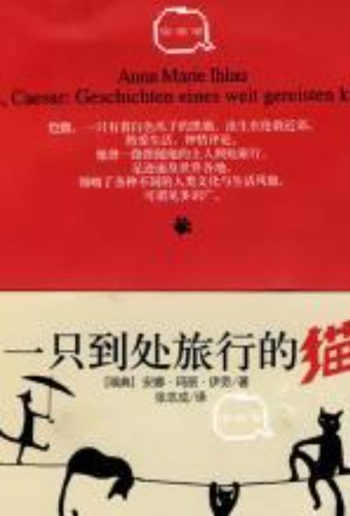 图片[2]-天堂收音机、一只到处旅行的猫、狩灵猫-落羽网