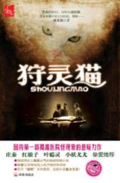 图片[3]-天堂收音机、一只到处旅行的猫、狩灵猫-落羽网